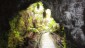 Path Through Cave